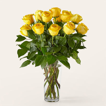 Long Stem Yellow Rose Bouquet –  Ecuadorian Central Flower, Minneapolis MN