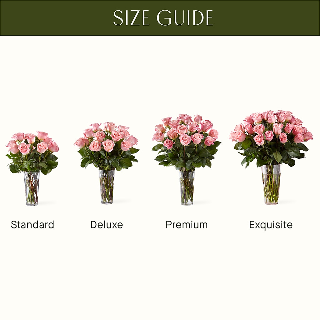 Long Stem Pink Rose Bouquet –  Ecuadorian Central Flower, Minneapolis MN