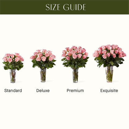Long Stem Pink Rose Bouquet –  Ecuadorian Central Flower, Minneapolis MN