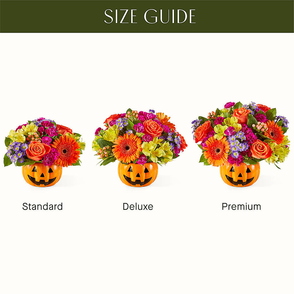 Tricks & Treats Pumpkin –  Ecuadorian Central Flower, Minneapolis MN
