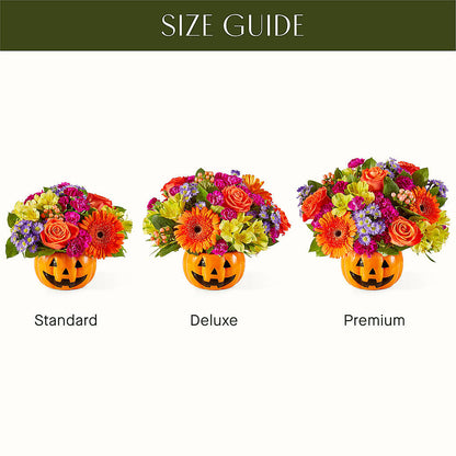Tricks & Treats Pumpkin –  Ecuadorian Central Flower, Minneapolis MN