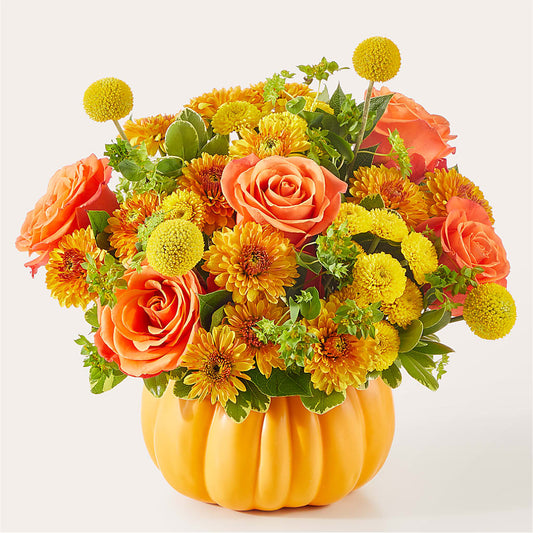 Gourdgeous Pumpkin –  Ecuadorian Central Flower, Minneapolis MN
