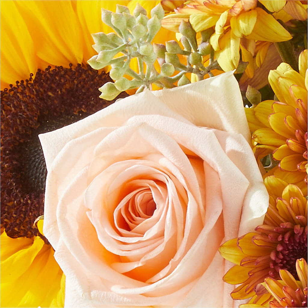 Pumpkin to Talk About Bouquet –  Ecuadorian Central Flower, Minneapolis MN