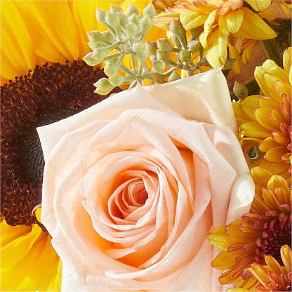 Pumpkin to Talk About Bouquet –  Ecuadorian Central Flower, Minneapolis MN
