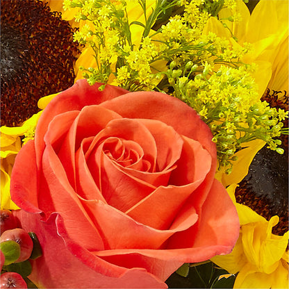 Pick of the Patch Pumpkin Bouquet –  Ecuadorian Central Flower, Minneapolis MN