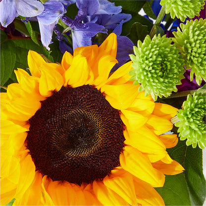 Catching Rays Bouquet –  Ecuadorian Central Flower, Minneapolis MN