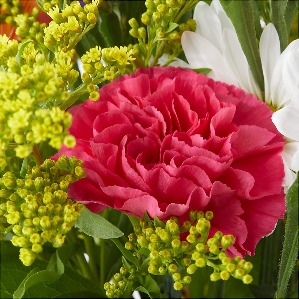 Oopsie Daisy Bouquet –  Ecuadorian Central Flower, Minneapolis MN