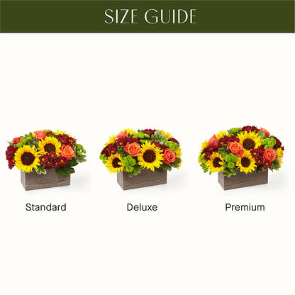 Happy Harvest Garden –  Ecuadorian Central Flower, Minneapolis MN