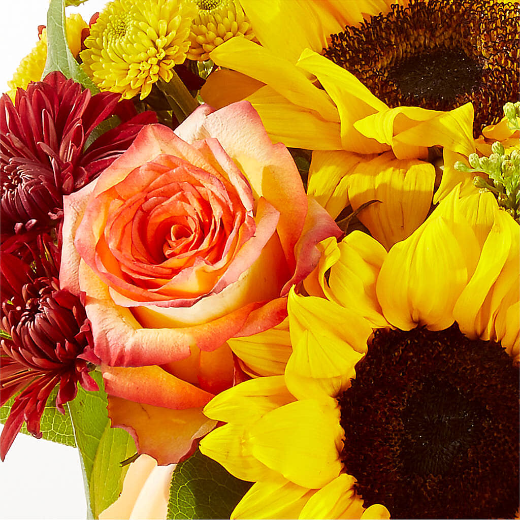 Golden Gourd Pumpkin Bouquet –  Ecuadorian Central Flower, Minneapolis MN