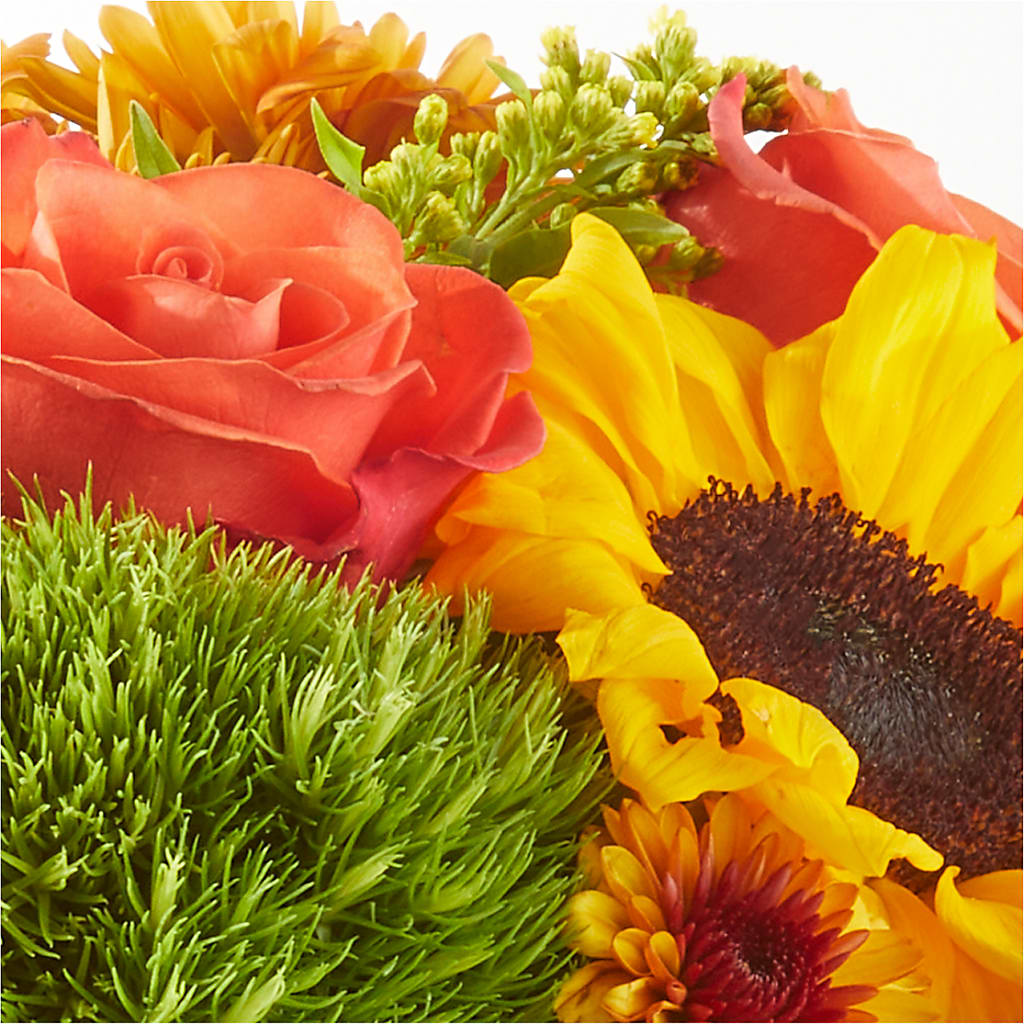 Farmer’s Market Stroll Bouquet –  Ecuadorian Central Flower, Minneapolis MN