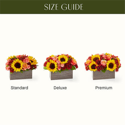Fresh Cider Bouquet –  Ecuadorian Central Flower, Minneapolis MN