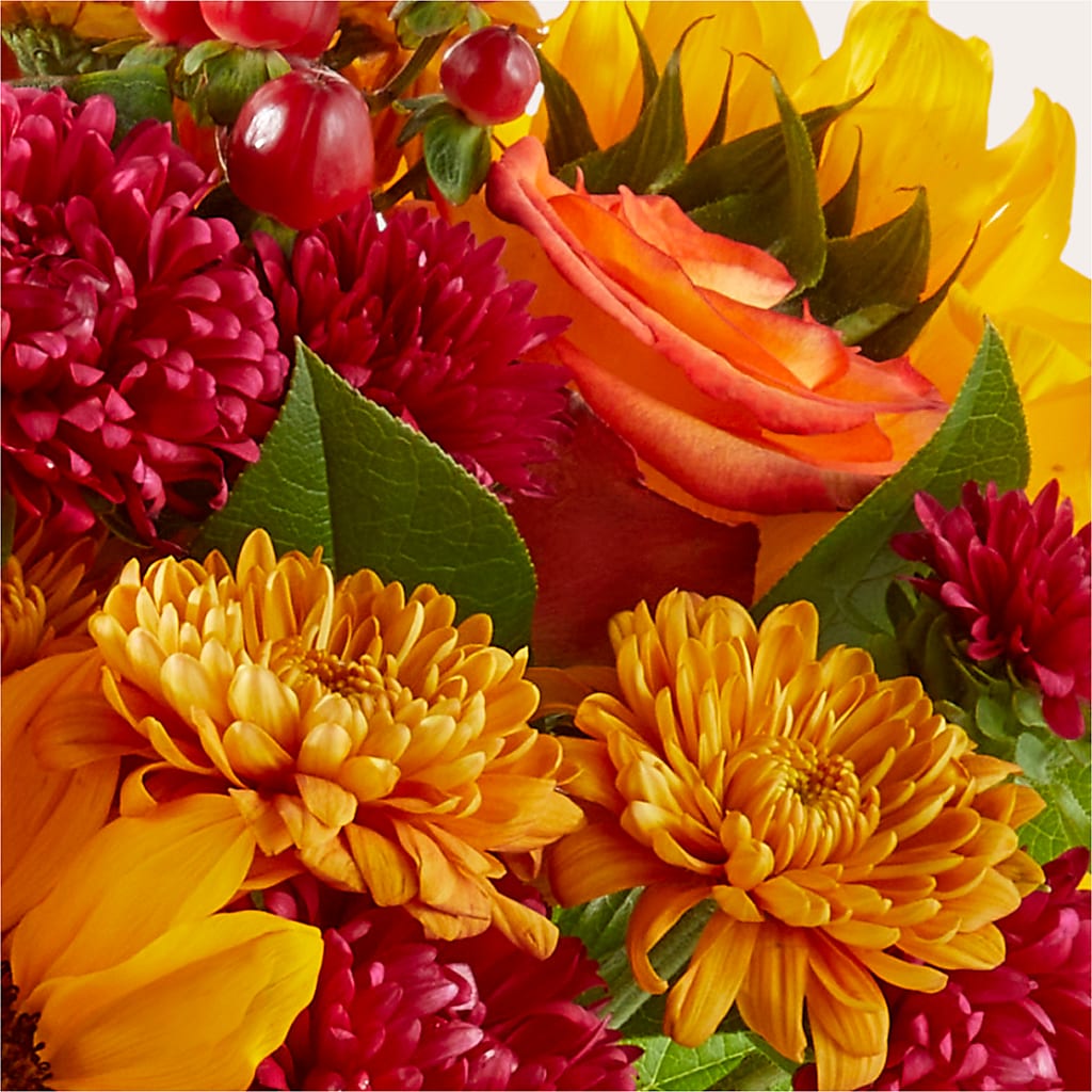 Sweater Season - A Florist Original –  Ecuadorian Central Flower, Minneapolis MN