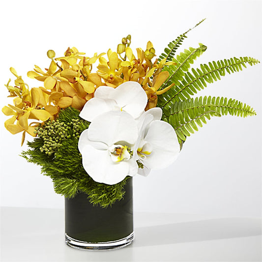 The Tropics –  Ecuadorian Central Flower, Minneapolis MN