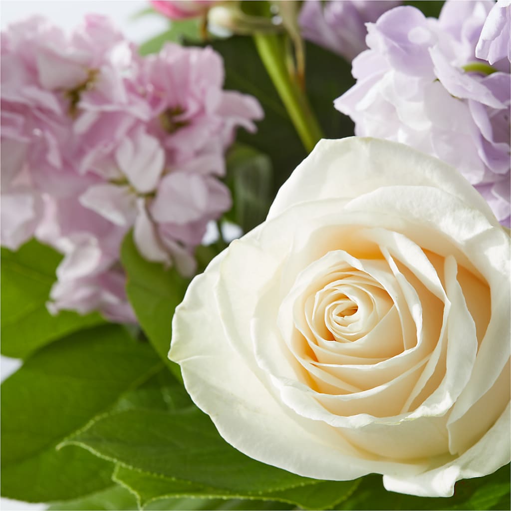 Springtime Spritz Bouquet –  Ecuadorian Central Flower, Minneapolis MN