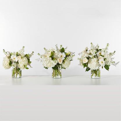 Sun-drenched Blooms Box Bouquet –  Ecuadorian Central Flower, Minneapolis MN