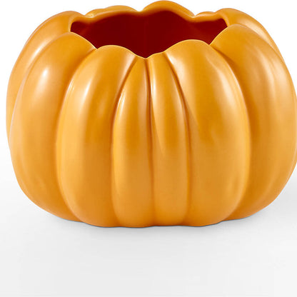Pick of the Patch Pumpkin Bouquet –  Ecuadorian Central Flower, Minneapolis MN
