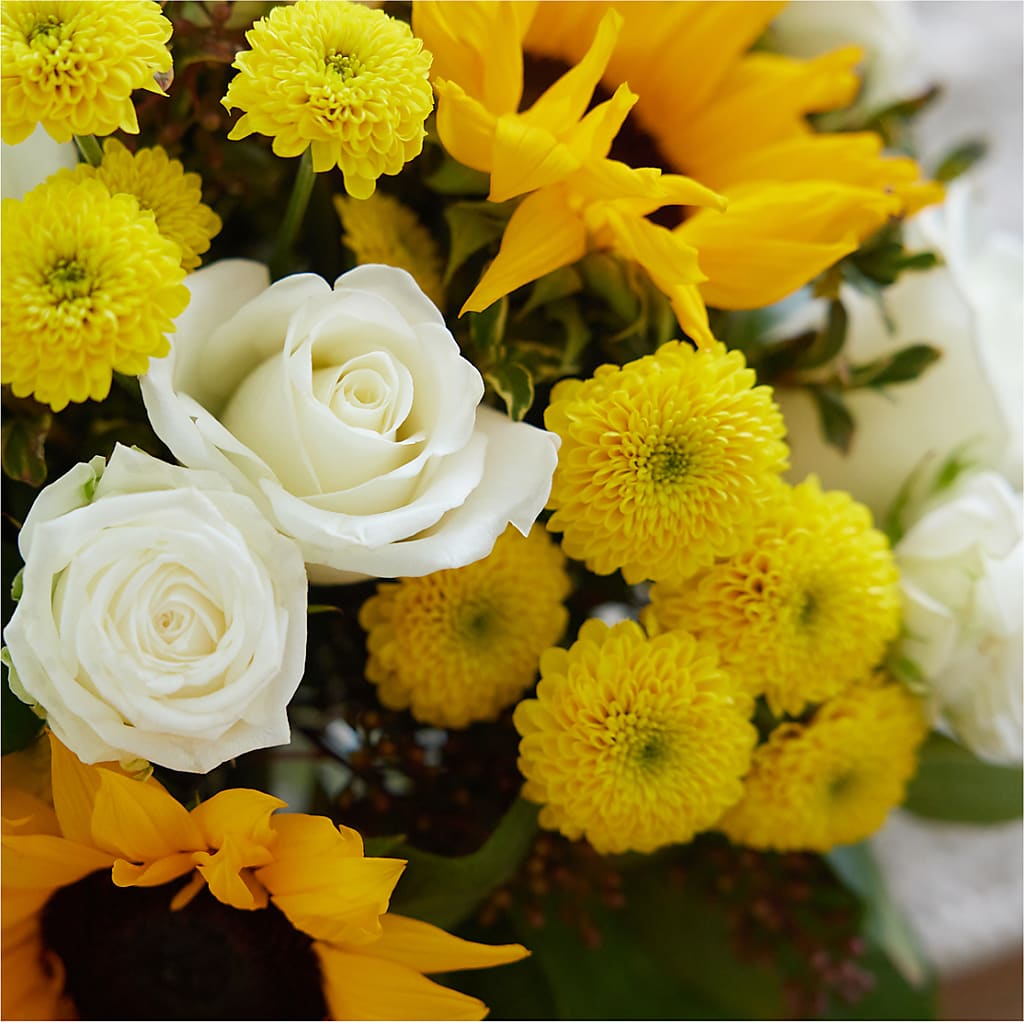 Luminous Morning Bouquet –  Ecuadorian Central Flower, Minneapolis MN
