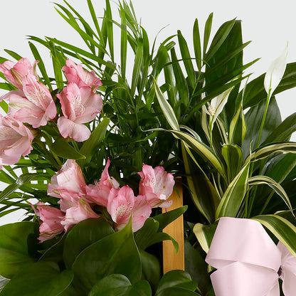 Living Spirit Dishgarden –  Ecuadorian Central Flower, Minneapolis MN