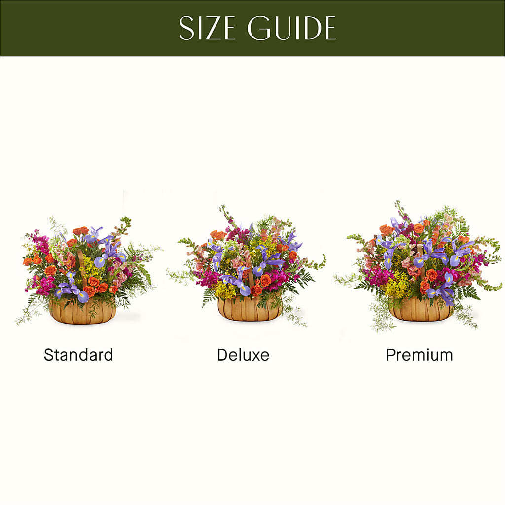Garden of Life Basket –  Ecuadorian Central Flower, Minneapolis MN