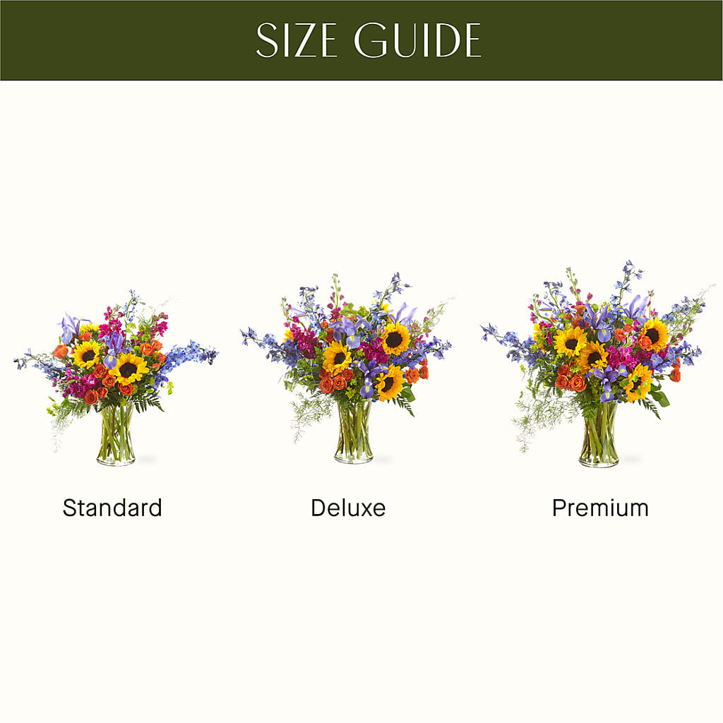 Rays of Life Bouquet –  Ecuadorian Central Flower, Minneapolis MN