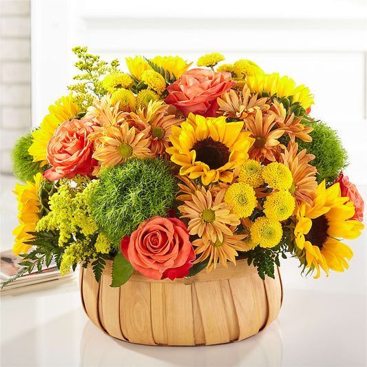 Harvest Sunflower Basket –  Ecuadorian Central Flower, Minneapolis MN