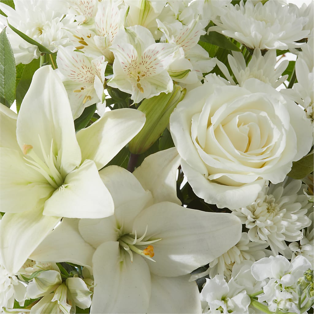 Peaceful Reflections Arrangement –  Ecuadorian Central Flower, Minneapolis MN