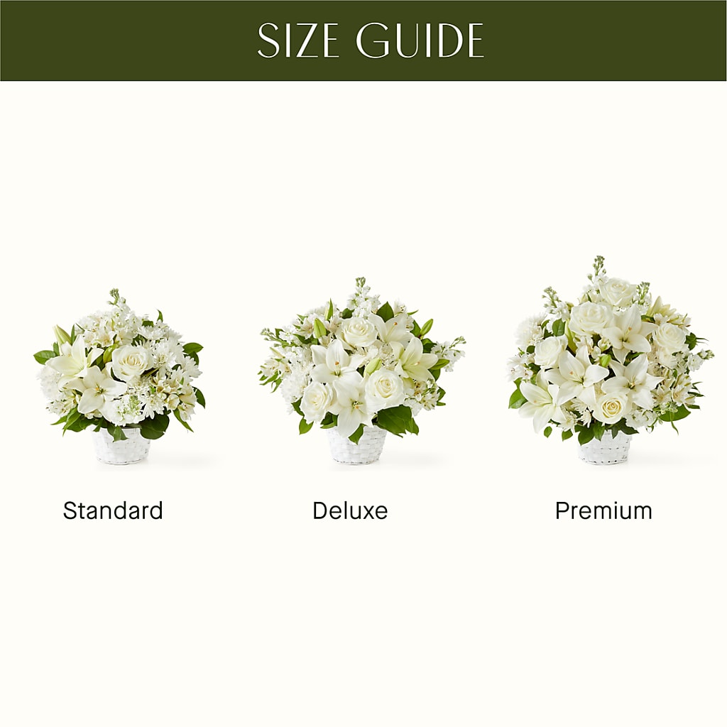 Peaceful Reflections Arrangement –  Ecuadorian Central Flower, Minneapolis MN