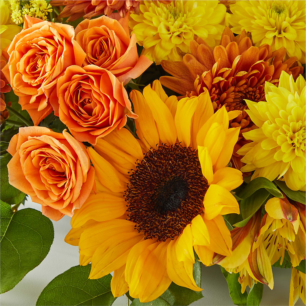 Autumn Harmony Centerpiece –  Ecuadorian Central Flower, Minneapolis MN