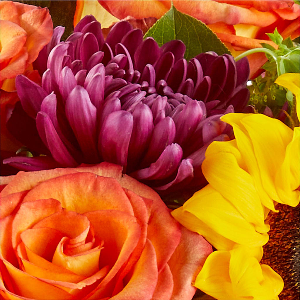 Nature Walk Bouquet –  Ecuadorian Central Flower, Minneapolis MN