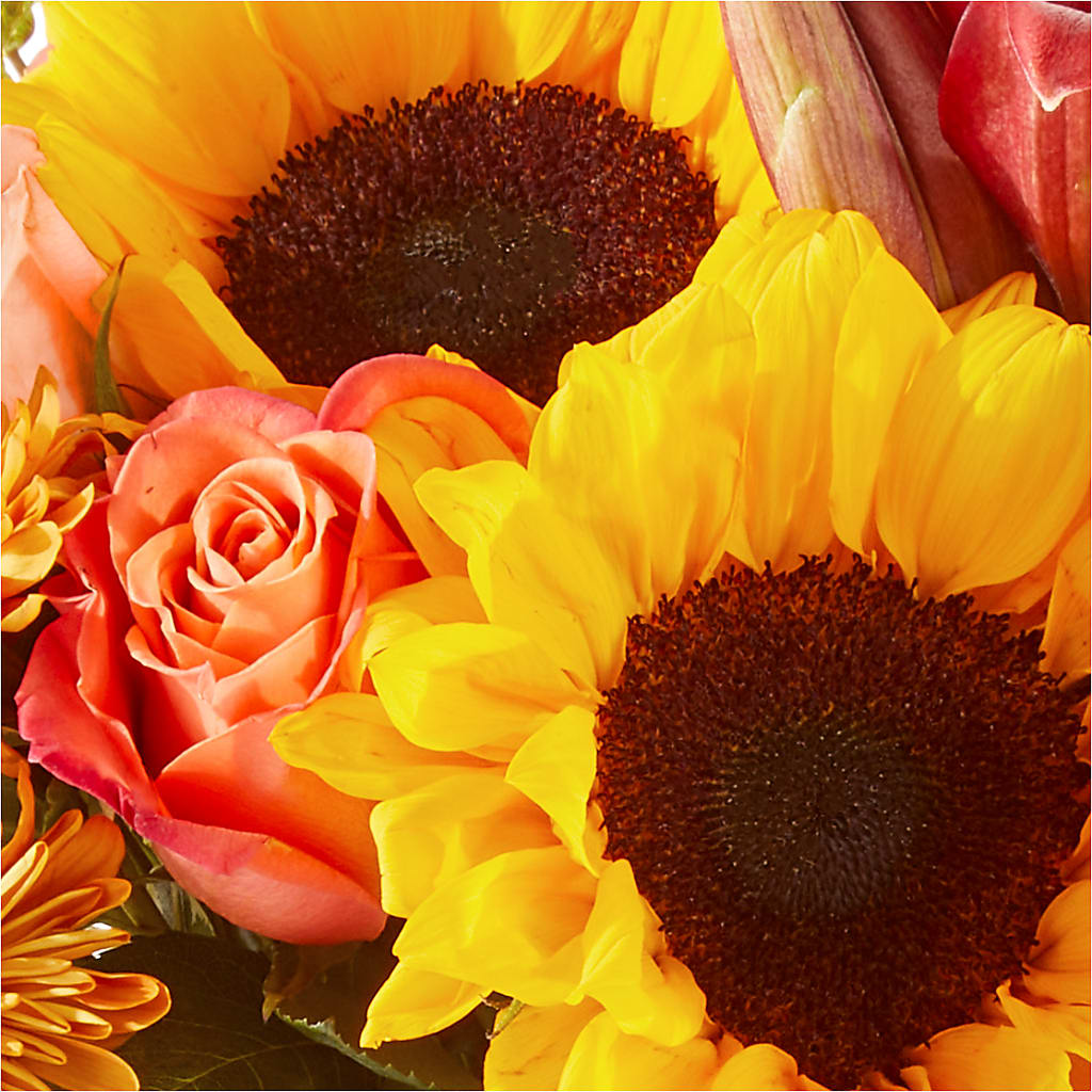 Acorn Lane Bouquet –  Ecuadorian Central Flower, Minneapolis MN