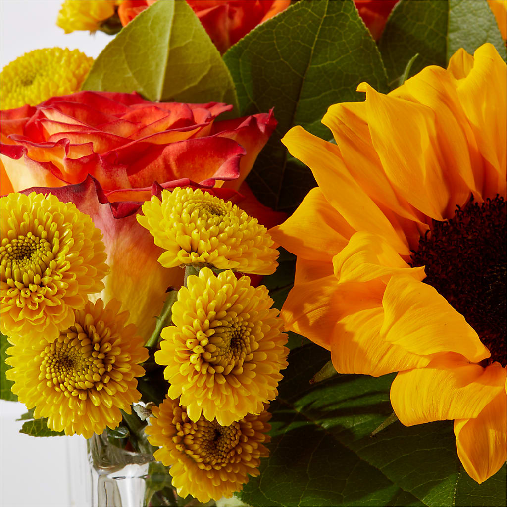Picnic in the Park Bouquet –  Ecuadorian Central Flower, Minneapolis MN