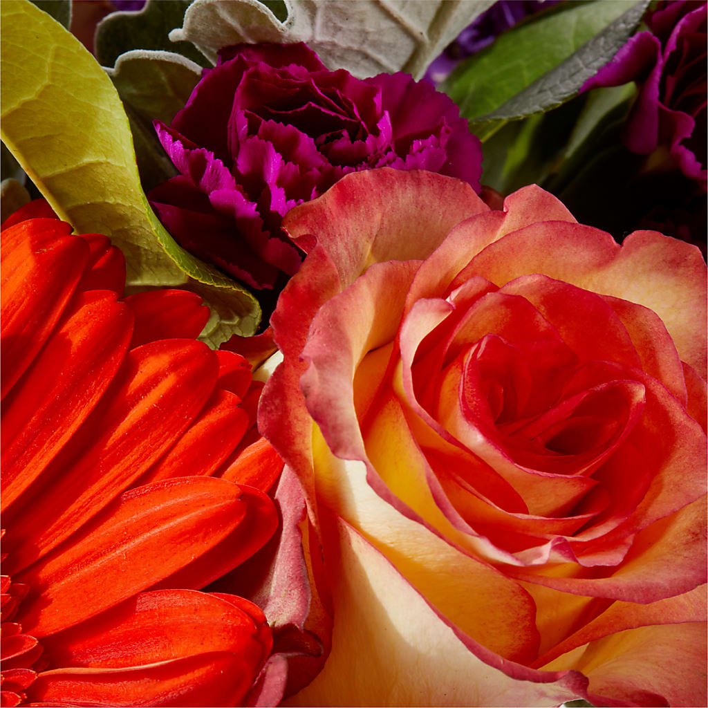 Sangria Bouquet –  Ecuadorian Central Flower, Minneapolis MN