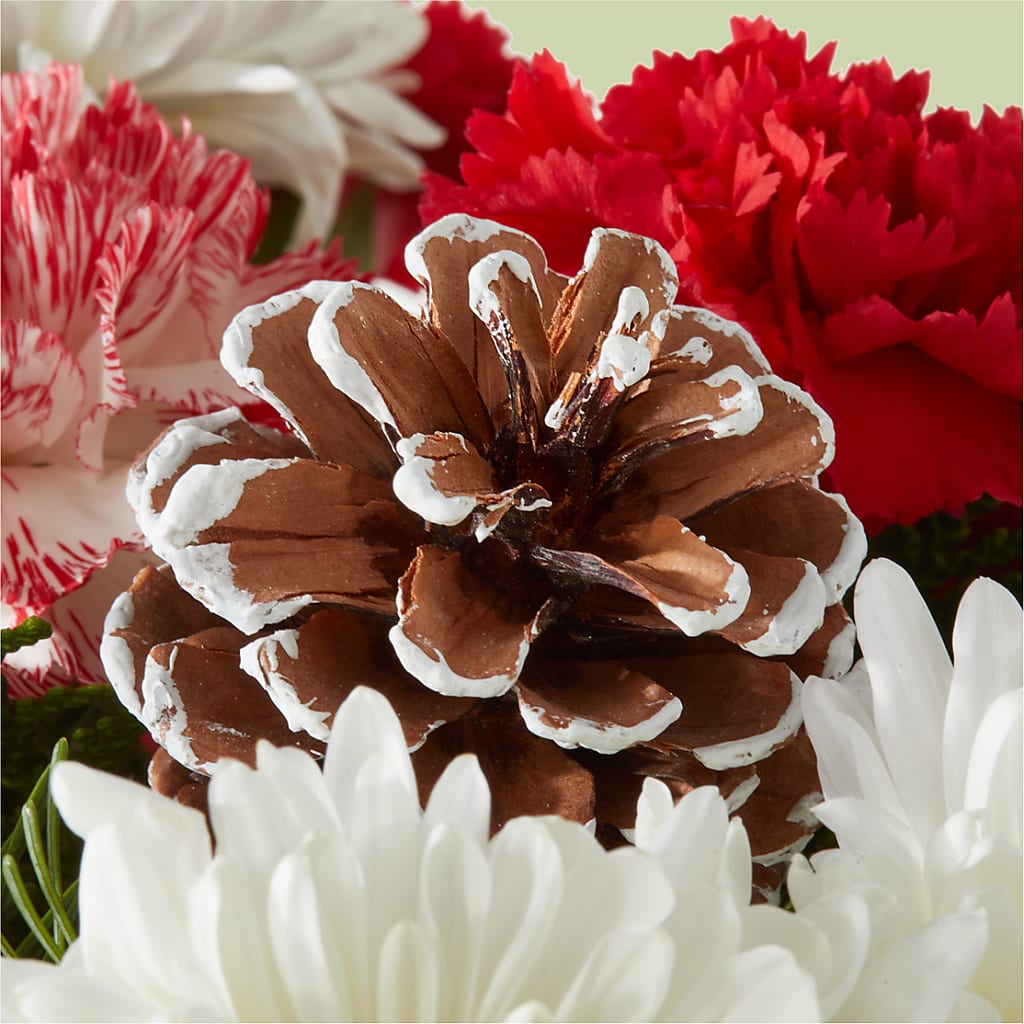 Candy Cane Lane Bouquet –  Ecuadorian Central Flower, Minneapolis MN