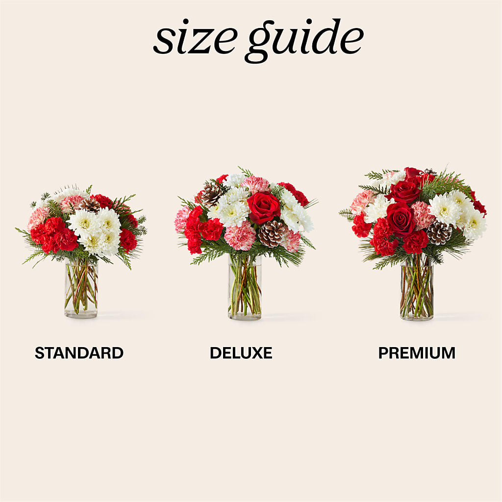 Candy Cane Lane Bouquet –  Ecuadorian Central Flower, Minneapolis MN