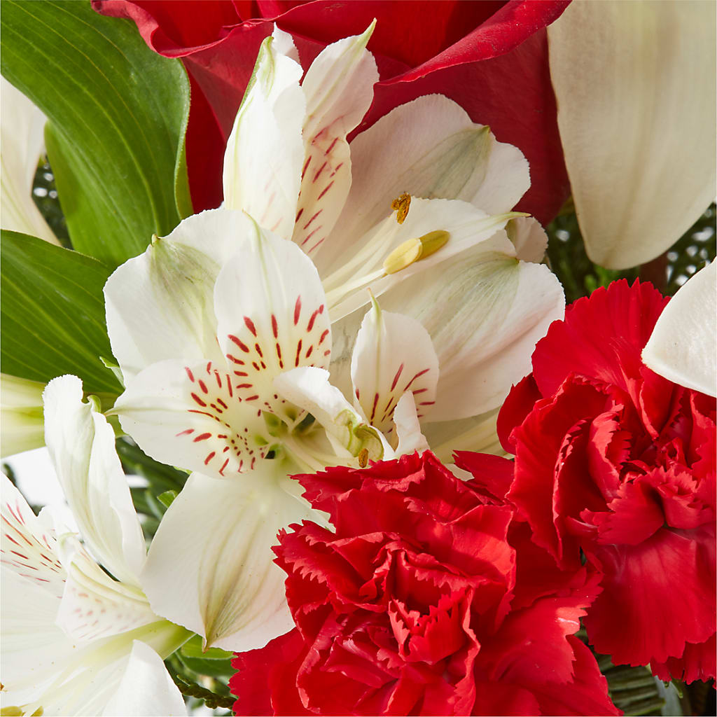 Holiday Season Bouquet –  Ecuadorian Central Flower, Minneapolis MN