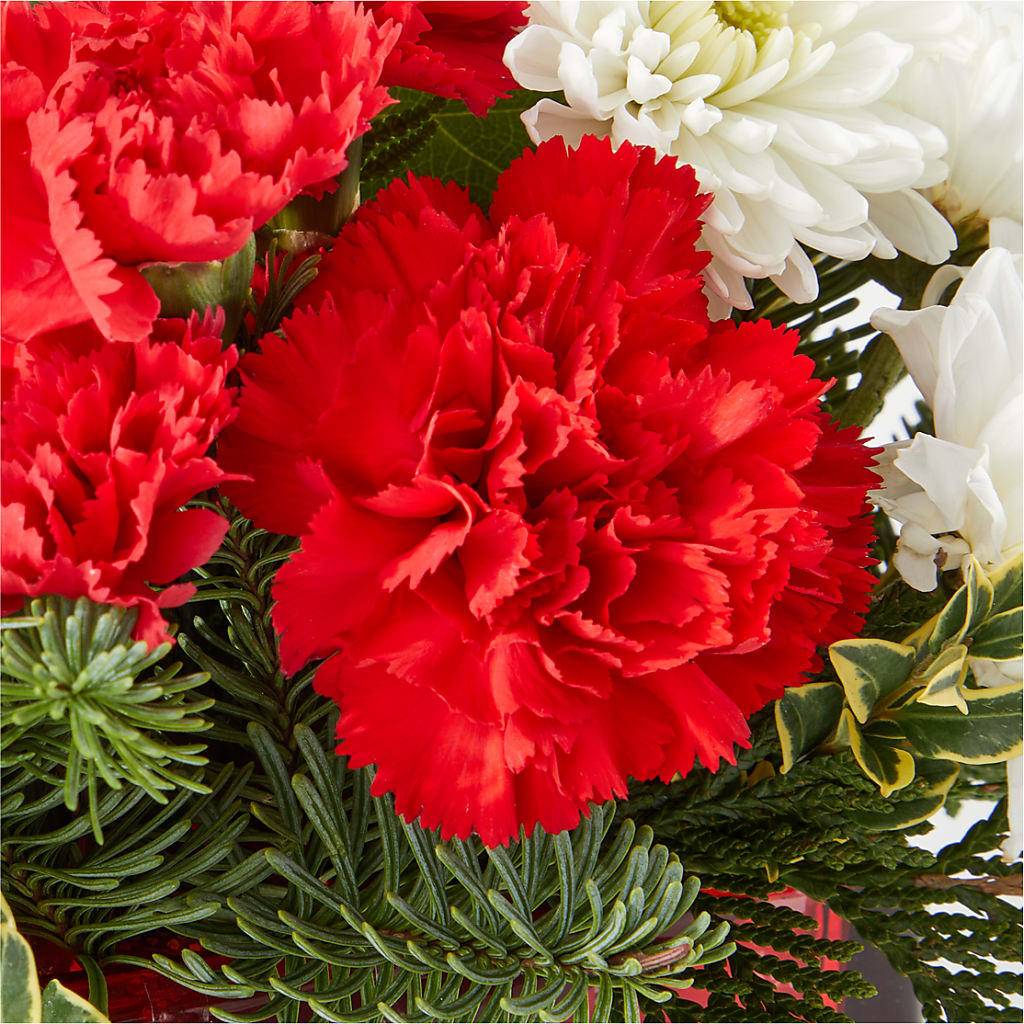 Christmas Market Bouquet –  Ecuadorian Central Flower, Minneapolis MN