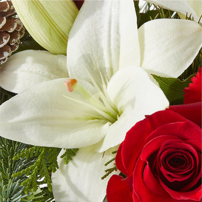 Oh So Jolly Bouquet –  Ecuadorian Central Flower, Minneapolis MN