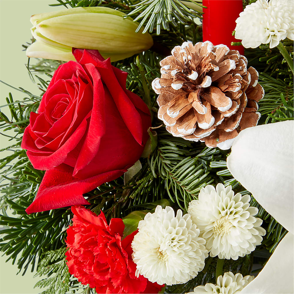 Seasonal Festivities Centerpiece –  Ecuadorian Central Flower, Minneapolis MN