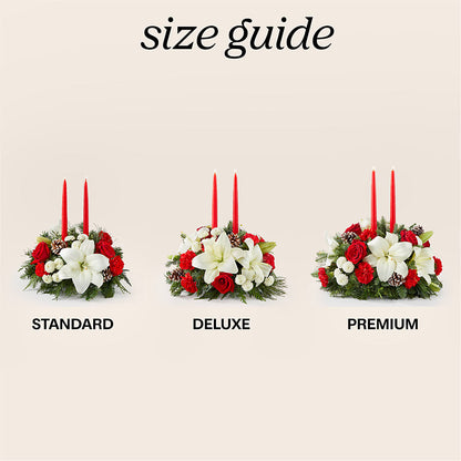 Seasonal Festivities Centerpiece –  Ecuadorian Central Flower, Minneapolis MN
