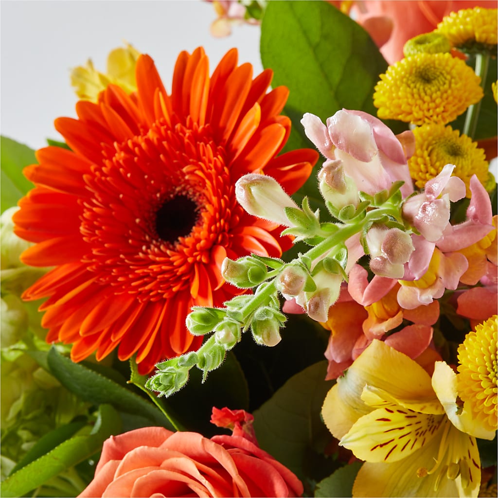 Autumn Sunshine Bouquet –  Ecuadorian Central Flower, Minneapolis MN
