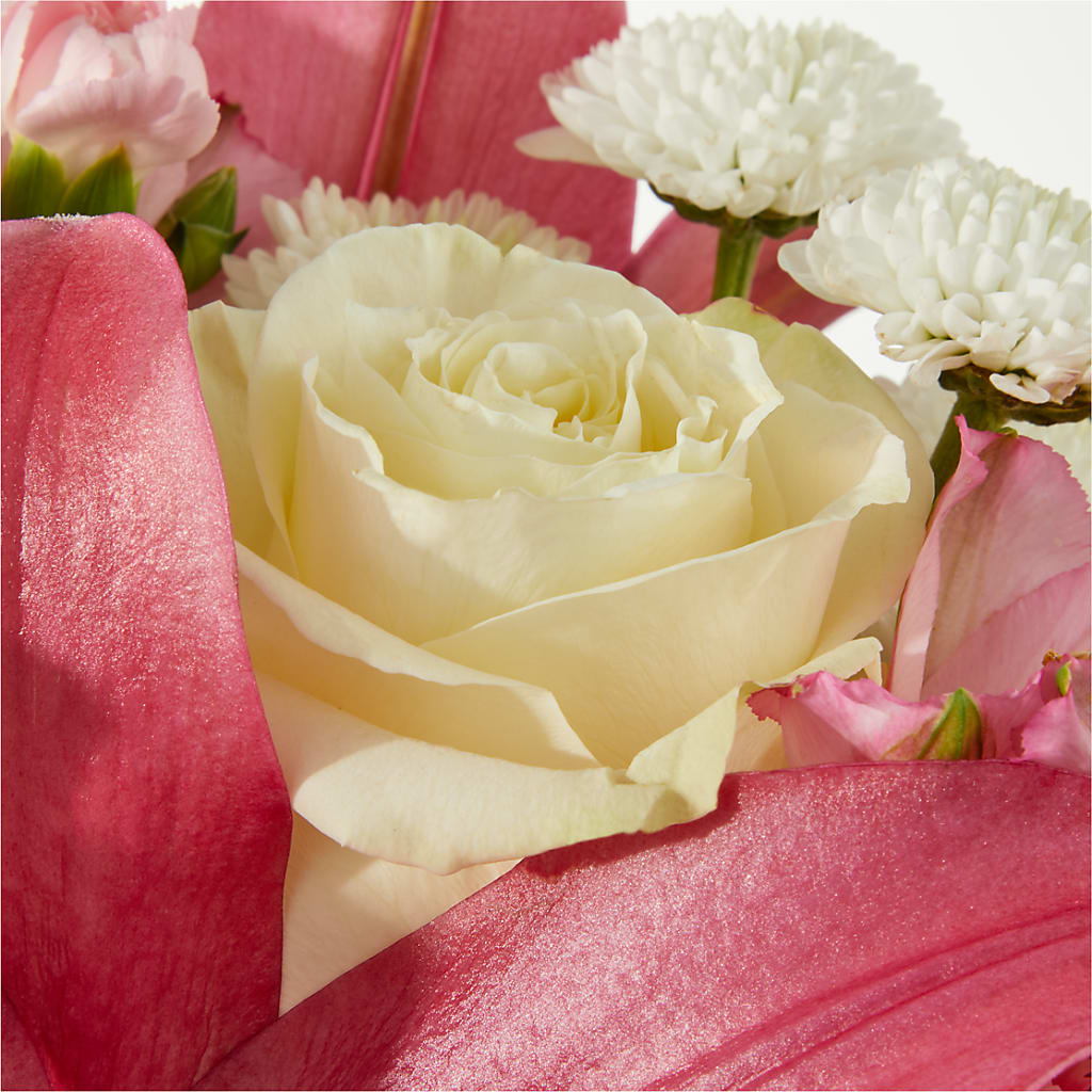 Piece of Cake Bouquet –  Ecuadorian Central Flower, Minneapolis MN