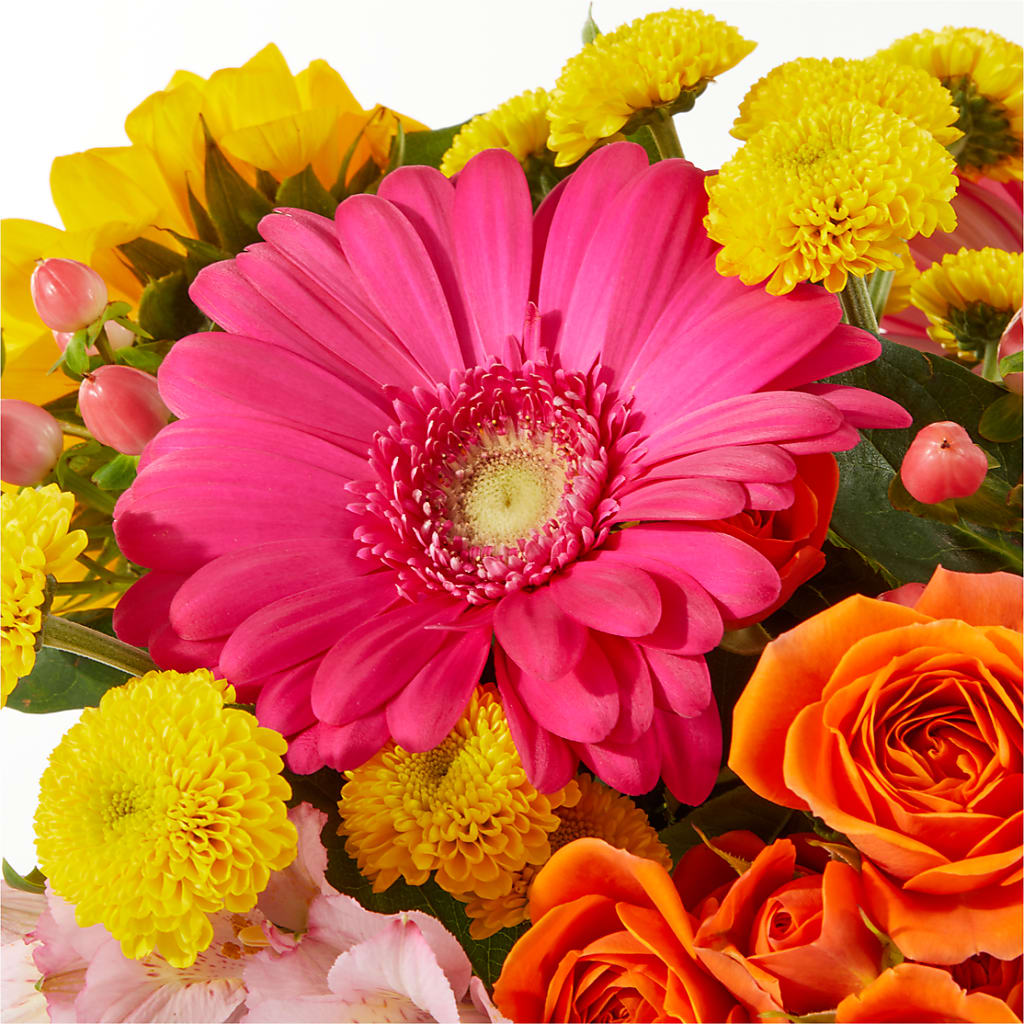 Beach Day Bouquet –  Ecuadorian Central Flower, Minneapolis MN