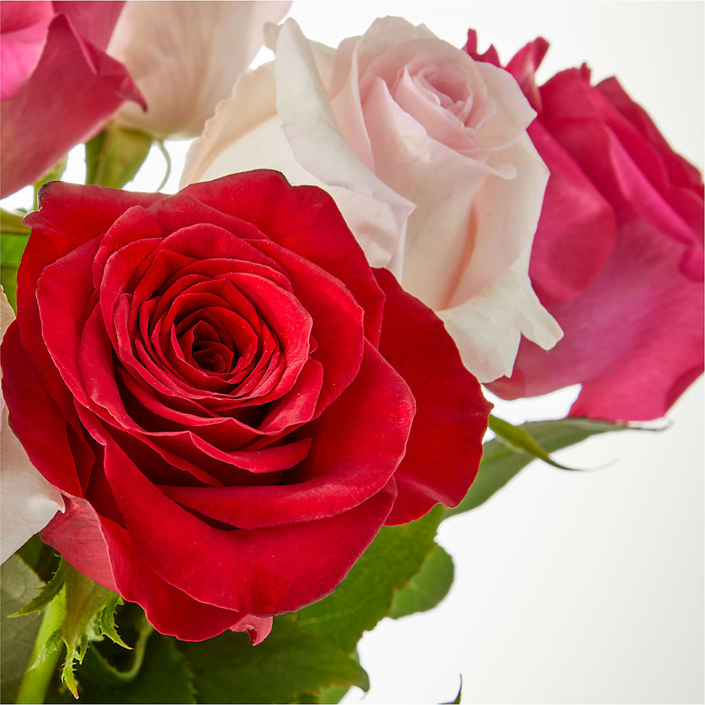 Charming Rose Bouquet –  Ecuadorian Central Flower, Minneapolis MN