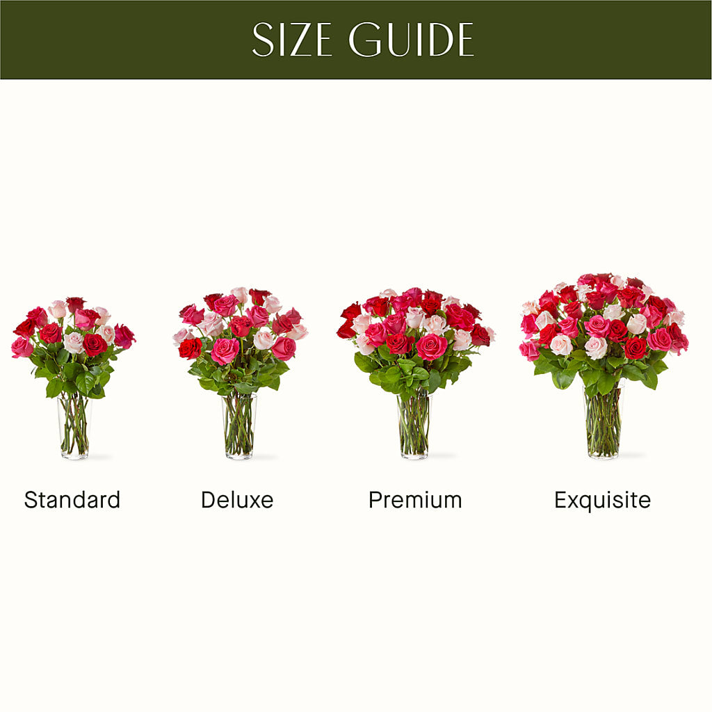 Charming Rose Bouquet –  Ecuadorian Central Flower, Minneapolis MN