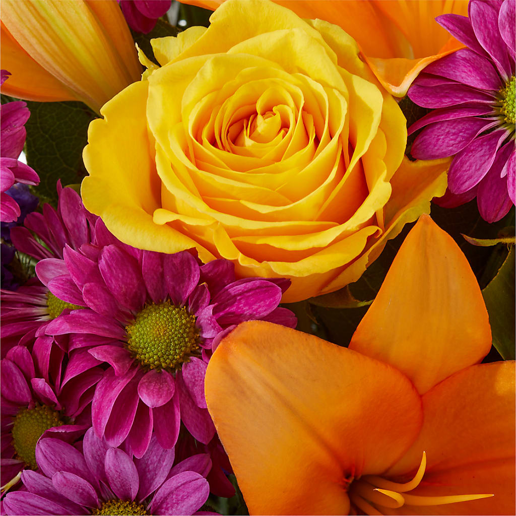 Colorful Visions Bouquet –  Ecuadorian Central Flower, Minneapolis MN