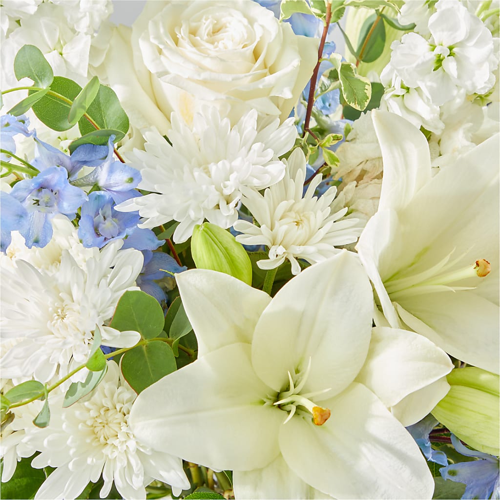 Peace of Mind Bouquet –  Ecuadorian Central Flower, Minneapolis MN