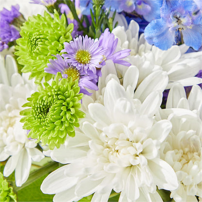 Genuine Gestures Bouquet –  Ecuadorian Central Flower, Minneapolis MN