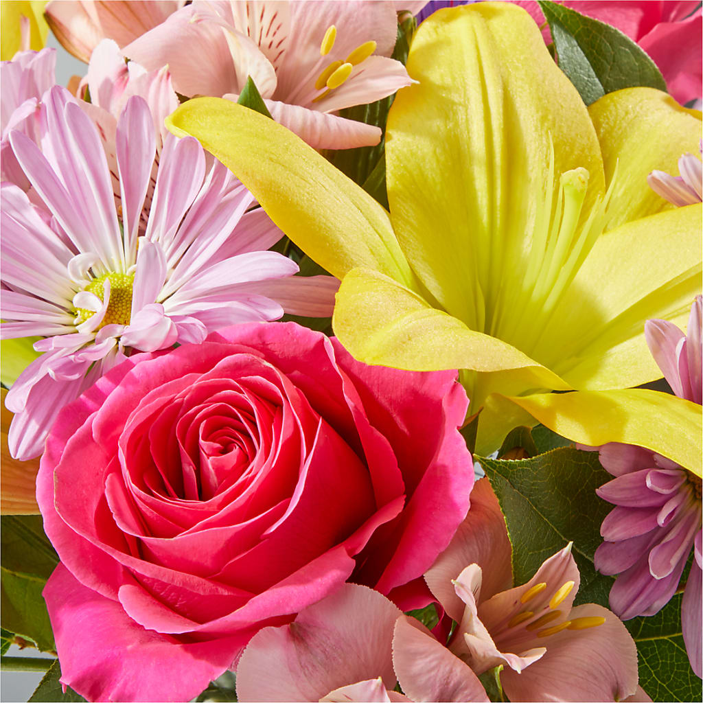 Sprinkles Bouquet –  Ecuadorian Central Flower, Minneapolis MN