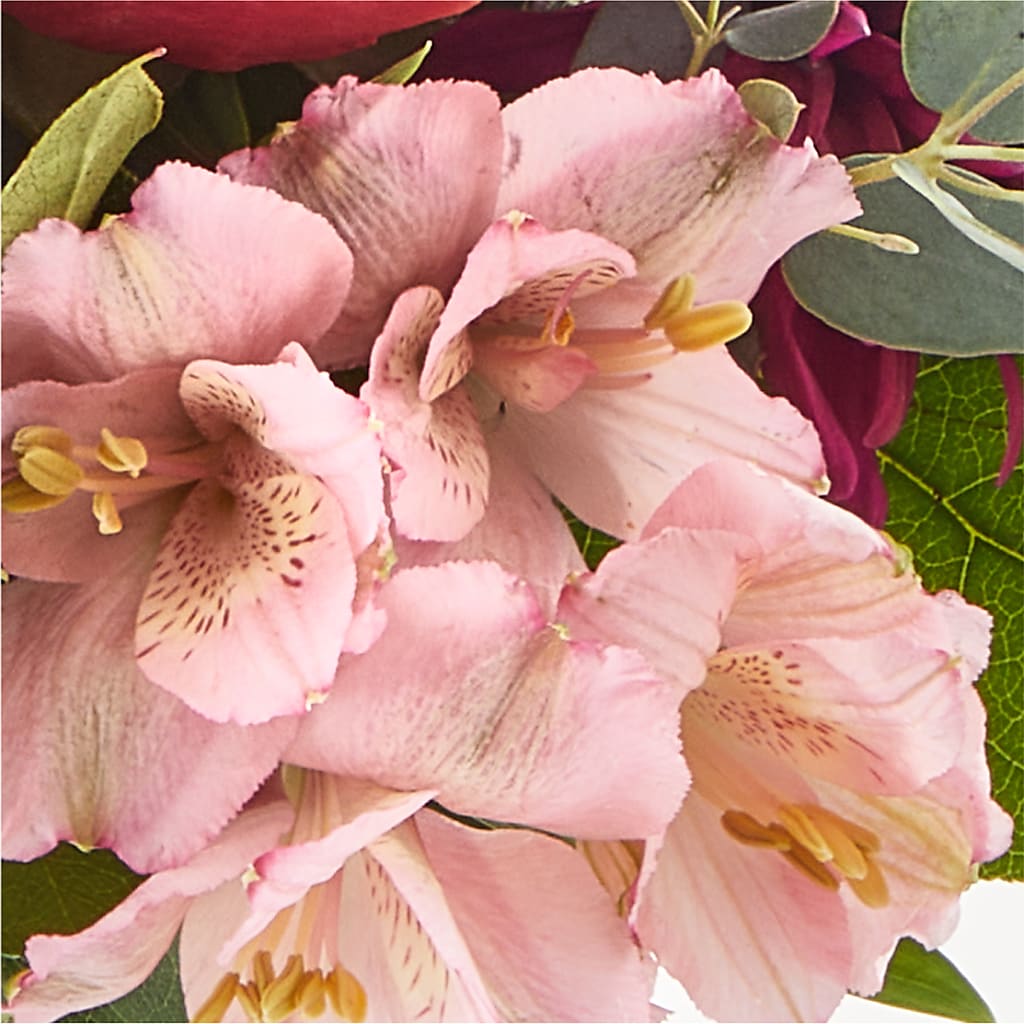 Berry Cobbler Bouquet –  Ecuadorian Central Flower, Minneapolis MN