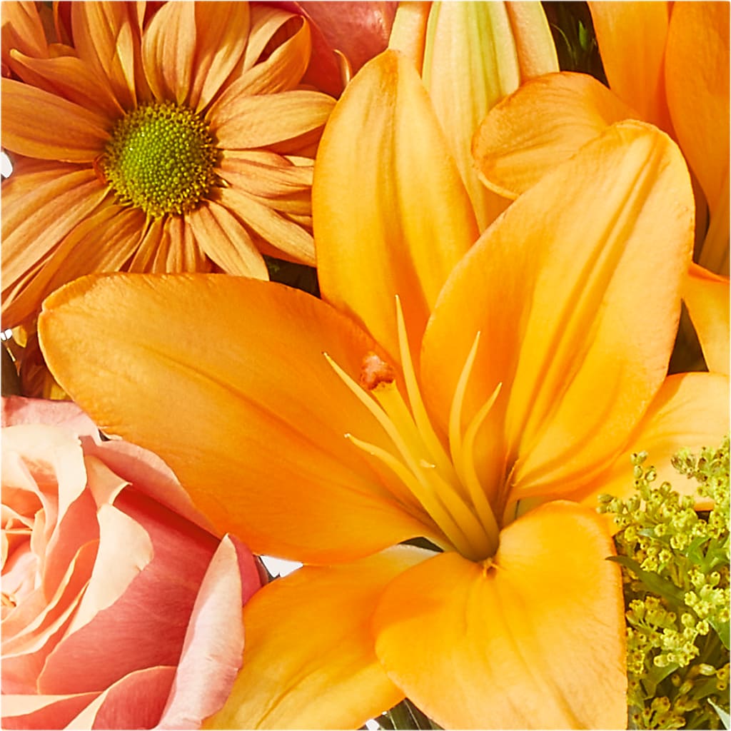 Harvest Hayride Bouquet –  Ecuadorian Central Flower, Minneapolis MN
